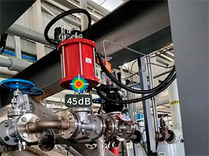 Pneumatic Valve Leakage Detection